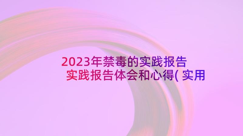 2023年禁毒的实践报告 实践报告体会和心得(实用5篇)