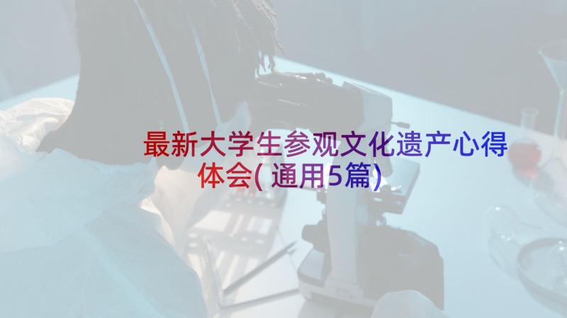 最新大学生参观文化遗产心得体会(通用5篇)