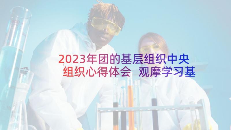 2023年团的基层组织中央组织心得体会 观摩学习基层组织心得体会(大全5篇)