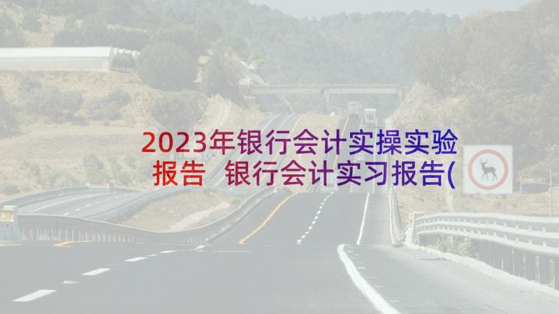 2023年银行会计实操实验报告 银行会计实习报告(优秀5篇)