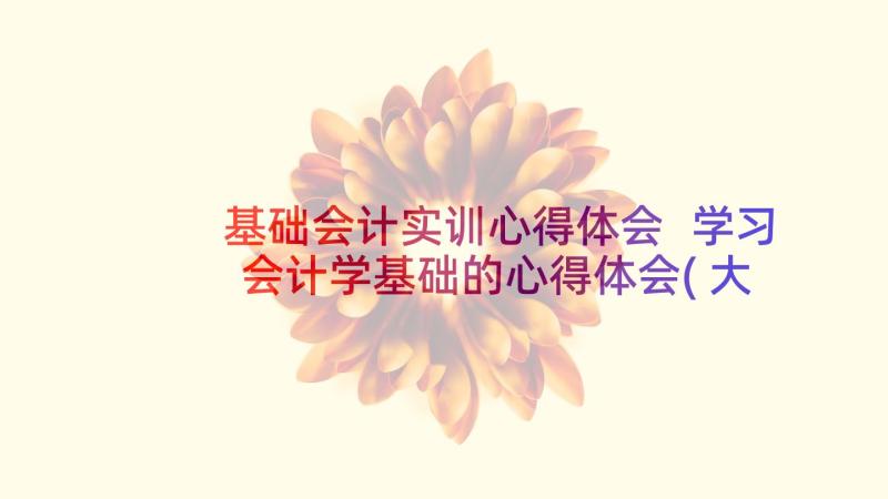 基础会计实训心得体会 学习会计学基础的心得体会(大全9篇)