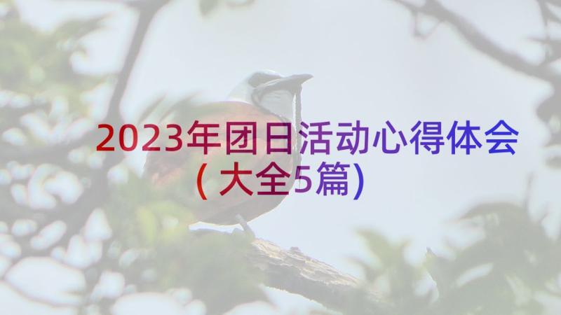 2023年团日活动心得体会(大全5篇)