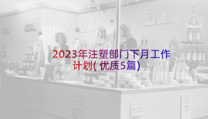 2023年注塑部门下月工作计划(优质5篇)