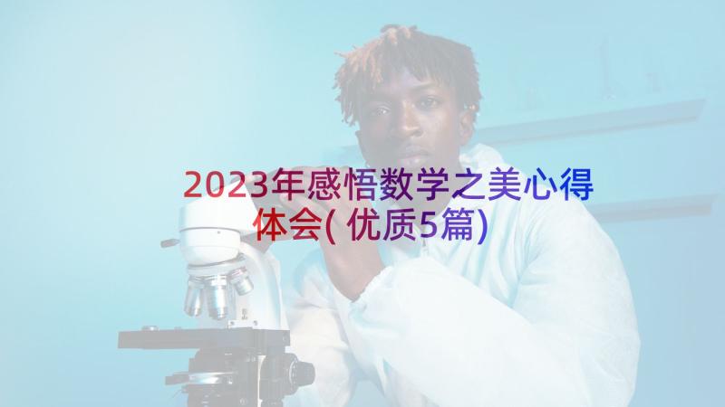 2023年感悟数学之美心得体会(优质5篇)