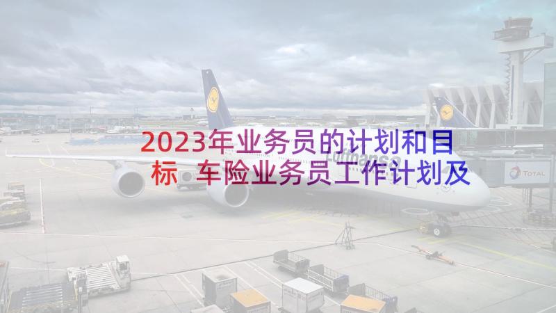 2023年业务员的计划和目标 车险业务员工作计划及目标(实用5篇)