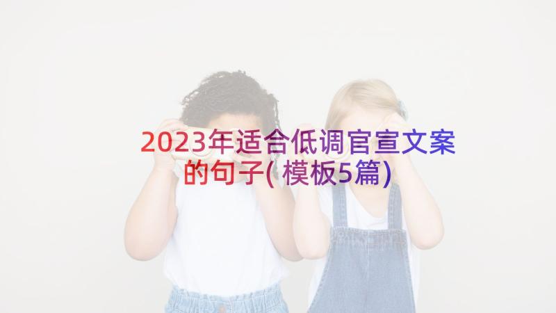 2023年适合低调官宣文案的句子(模板5篇)