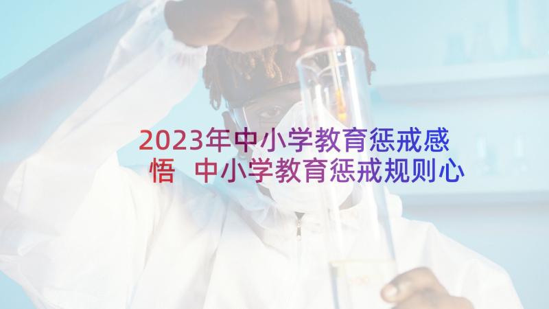 2023年中小学教育惩戒感悟 中小学教育惩戒规则心得体会(通用6篇)