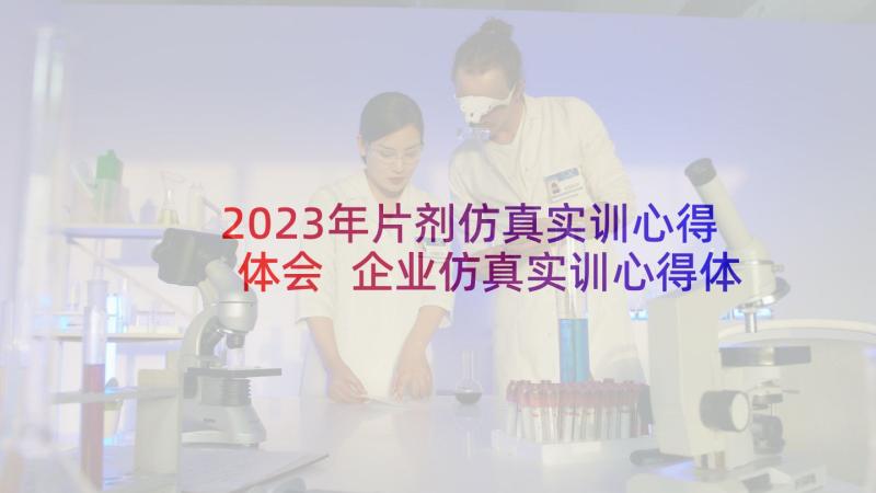 2023年片剂仿真实训心得体会 企业仿真实训心得体会(优秀5篇)