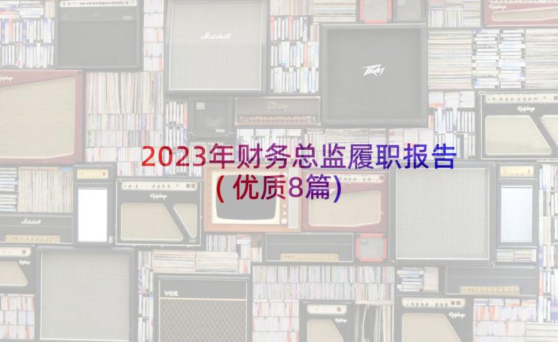 2023年财务总监履职报告(优质8篇)