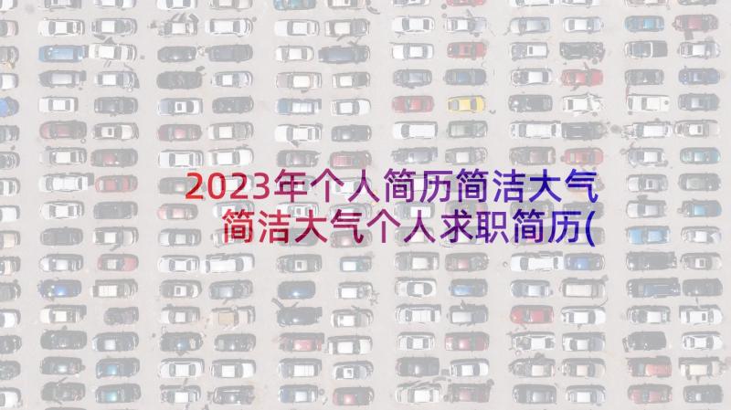 2023年个人简历简洁大气 简洁大气个人求职简历(实用5篇)