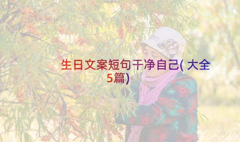 生日文案短句干净自己(大全5篇)