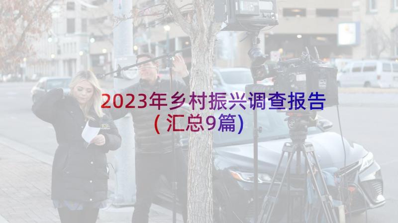 2023年乡村振兴调查报告(汇总9篇)