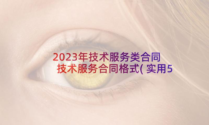 2023年技术服务类合同 技术服务合同格式(实用5篇)