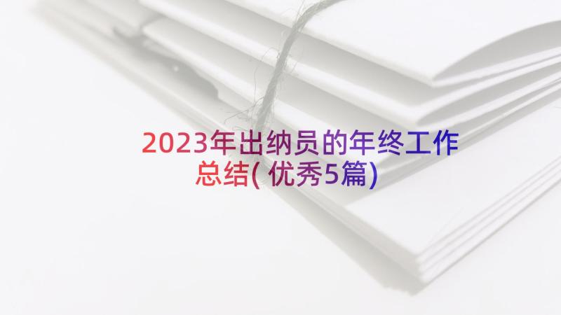 2023年出纳员的年终工作总结(优秀5篇)