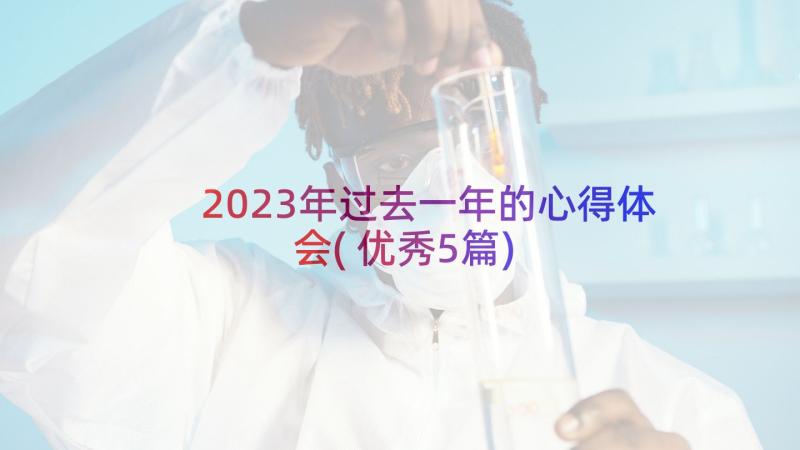 2023年过去一年的心得体会(优秀5篇)