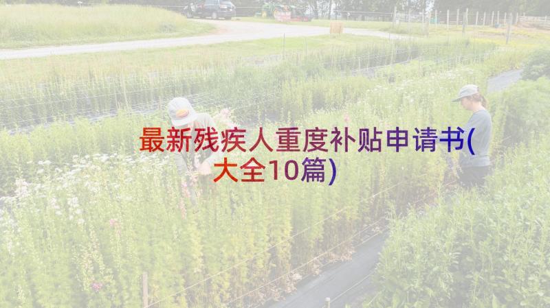 最新残疾人重度补贴申请书(大全10篇)