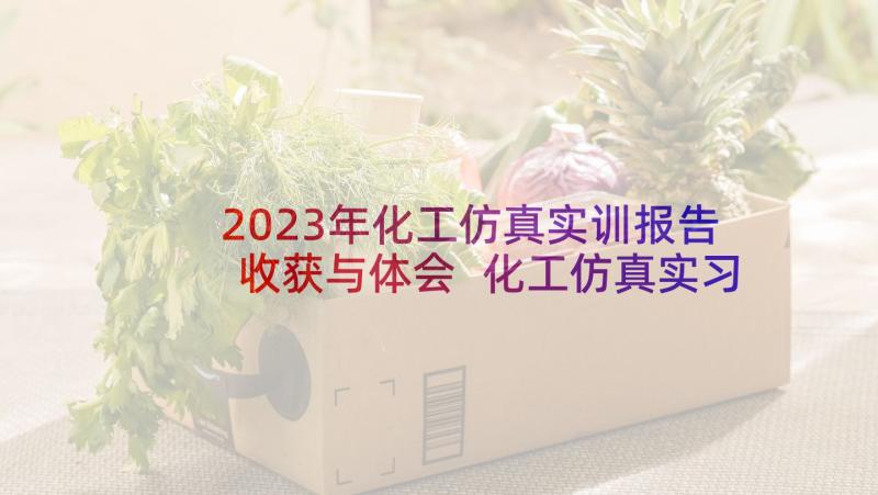 2023年化工仿真实训报告收获与体会 化工仿真实习心得(大全5篇)