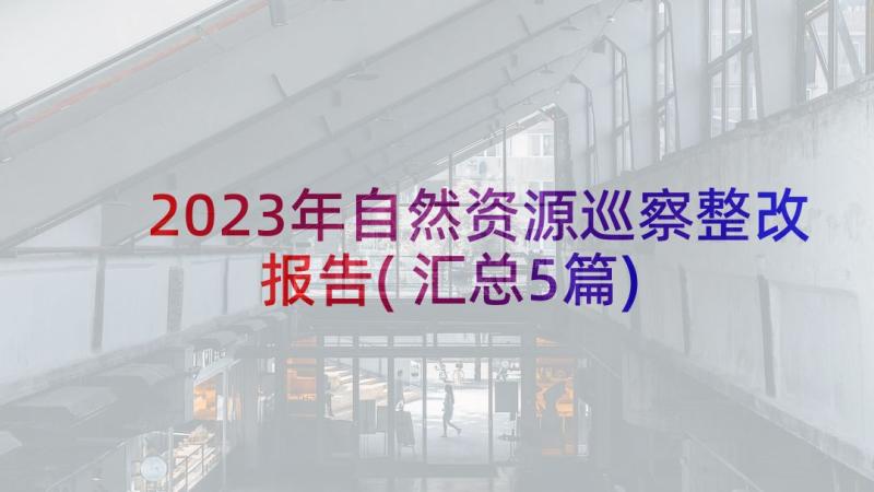 2023年自然资源巡察整改报告(汇总5篇)