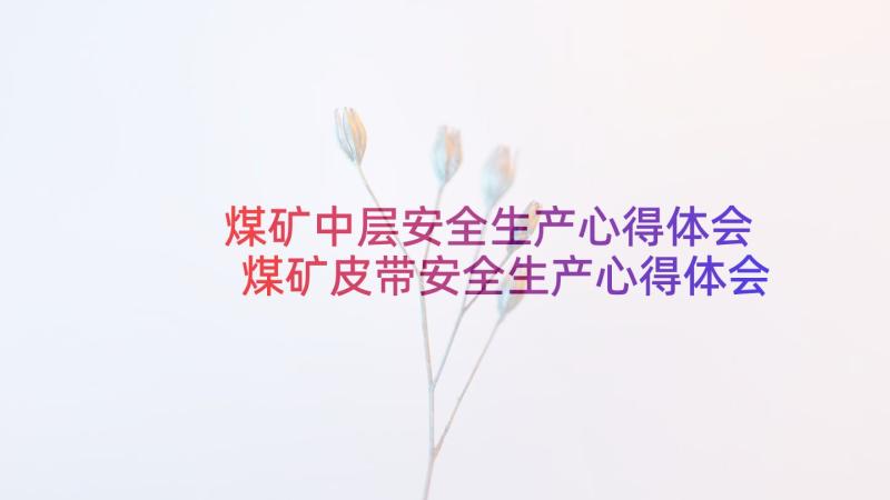 煤矿中层安全生产心得体会 煤矿皮带安全生产心得体会(汇总5篇)