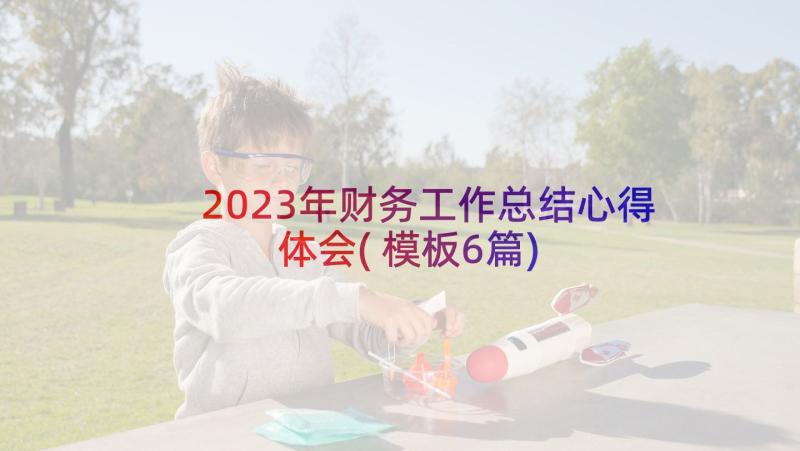 2023年财务工作总结心得体会(模板6篇)