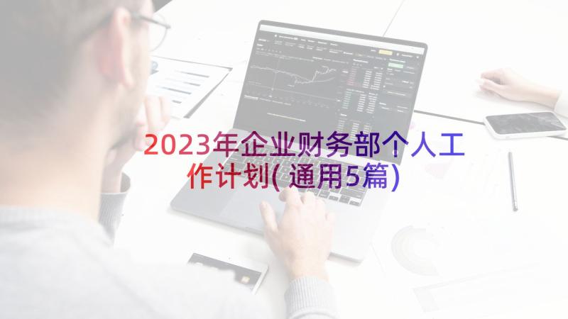 2023年企业财务部个人工作计划(通用5篇)