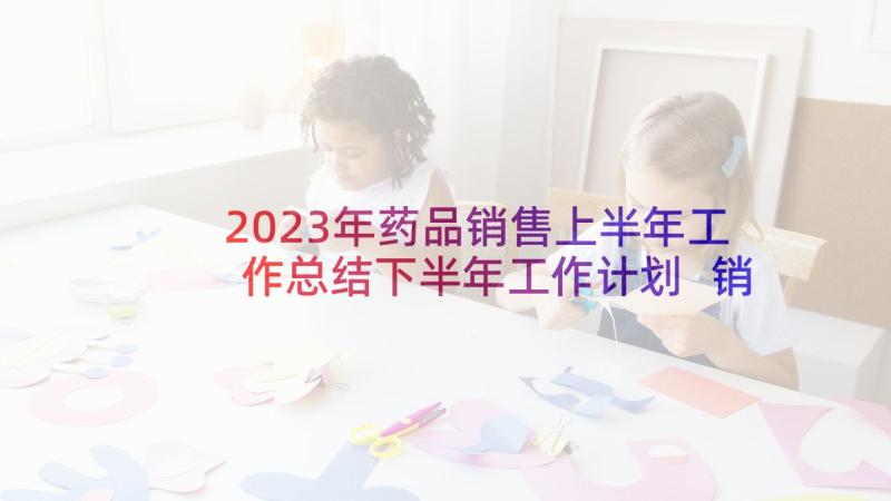 2023年药品销售上半年工作总结下半年工作计划 销售药品工作计划(实用9篇)