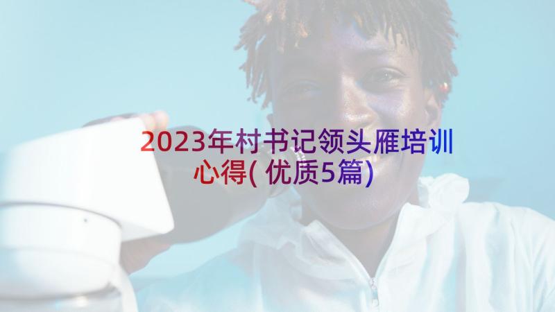 2023年村书记领头雁培训心得(优质5篇)