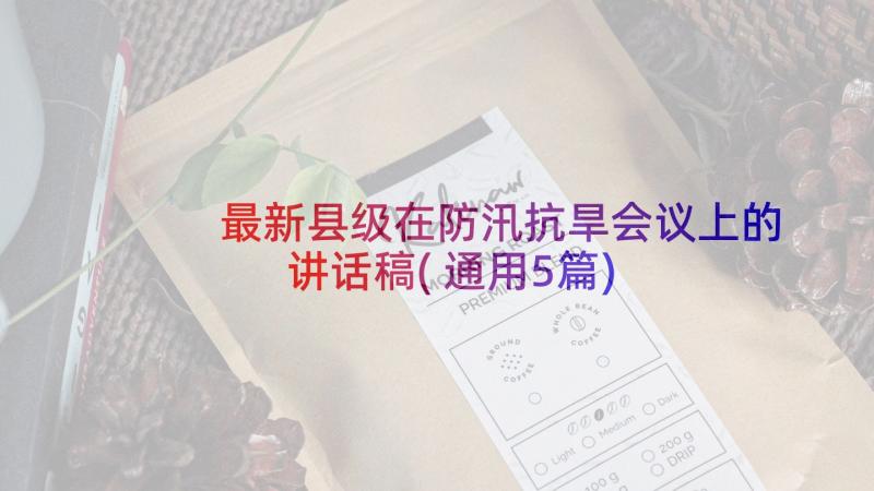 最新县级在防汛抗旱会议上的讲话稿(通用5篇)