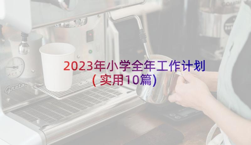 2023年小学全年工作计划(实用10篇)