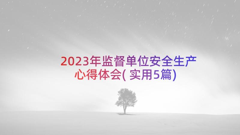 2023年监督单位安全生产心得体会(实用5篇)