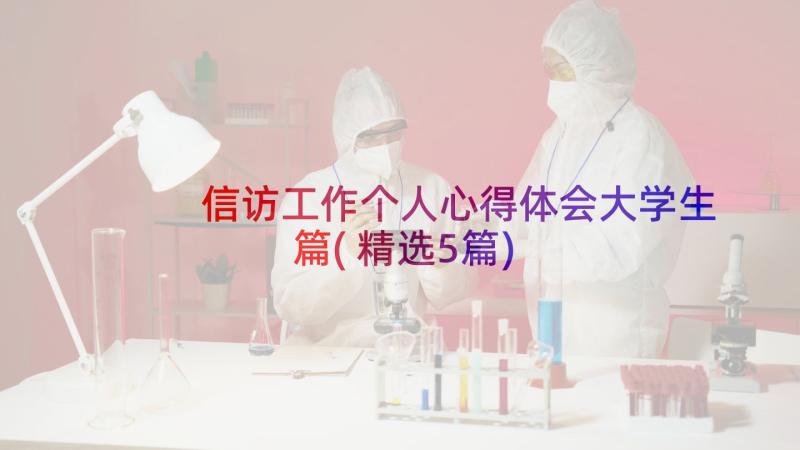 信访工作个人心得体会大学生篇(精选5篇)