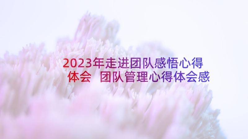 2023年走进团队感悟心得体会 团队管理心得体会感悟(通用5篇)