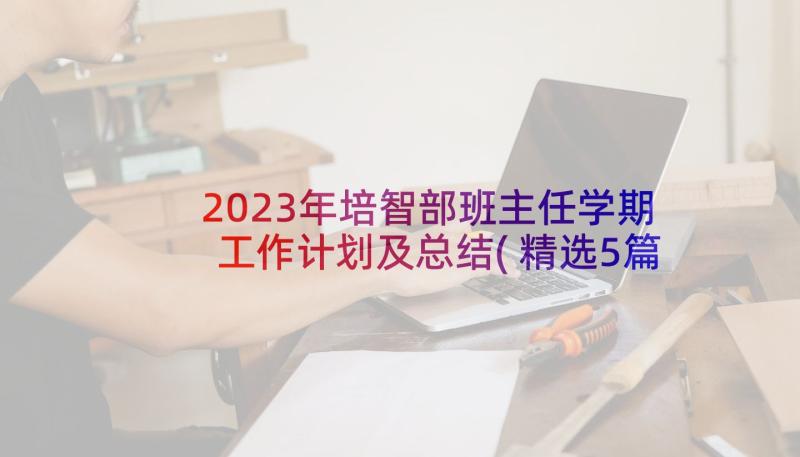 2023年培智部班主任学期工作计划及总结(精选5篇)