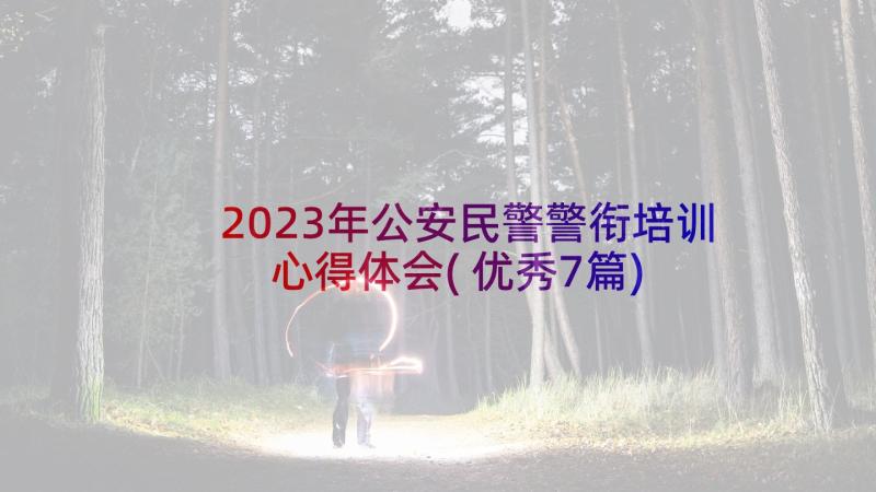 2023年公安民警警衔培训心得体会(优秀7篇)