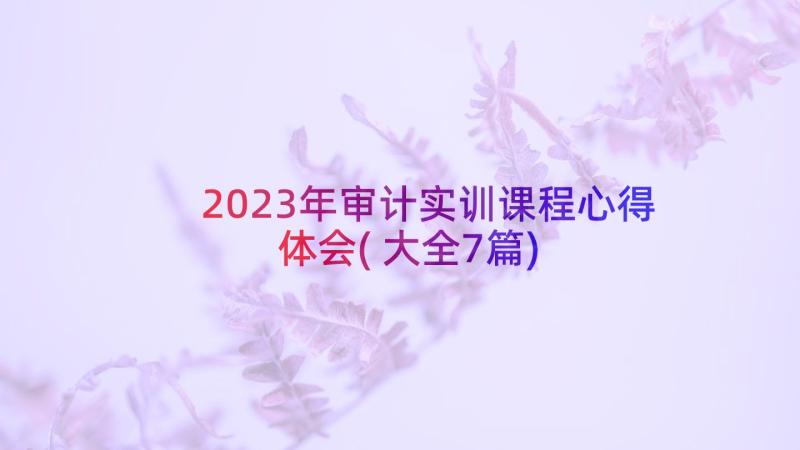 2023年审计实训课程心得体会(大全7篇)