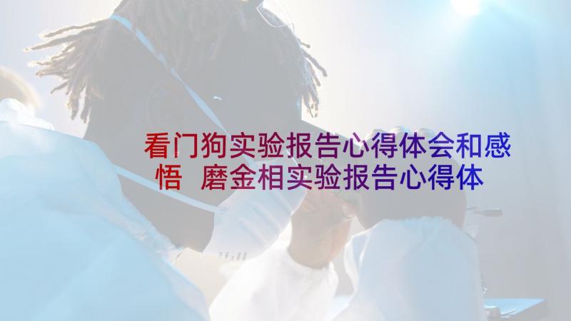 看门狗实验报告心得体会和感悟 磨金相实验报告心得体会(优质5篇)