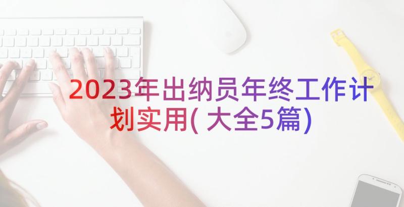 2023年出纳员年终工作计划实用(大全5篇)