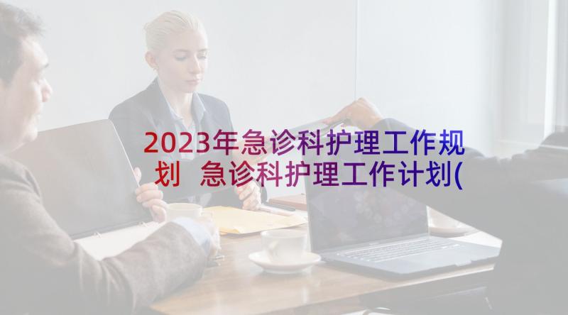 2023年急诊科护理工作规划 急诊科护理工作计划(通用5篇)