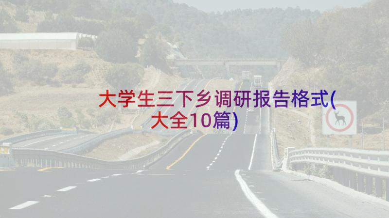 大学生三下乡调研报告格式(大全10篇)