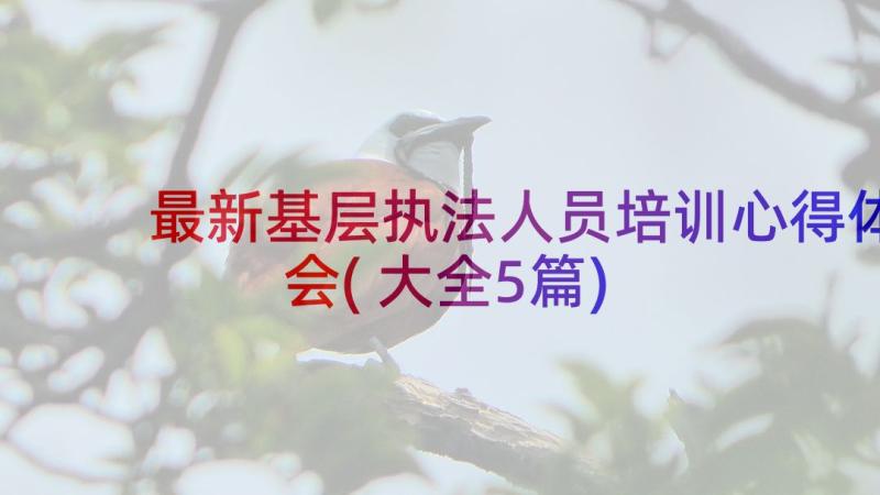 最新基层执法人员培训心得体会(大全5篇)