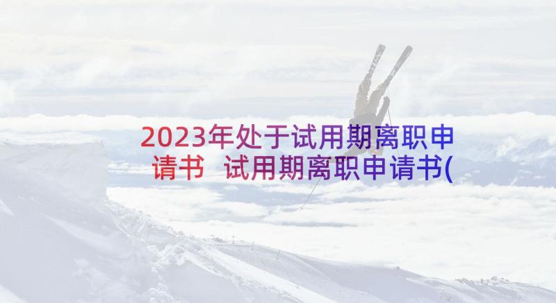 2023年处于试用期离职申请书 试用期离职申请书(模板5篇)