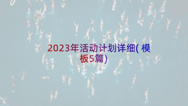 2023年活动计划详细(模板5篇)