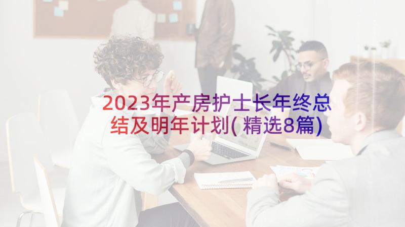 2023年产房护士长年终总结及明年计划(精选8篇)