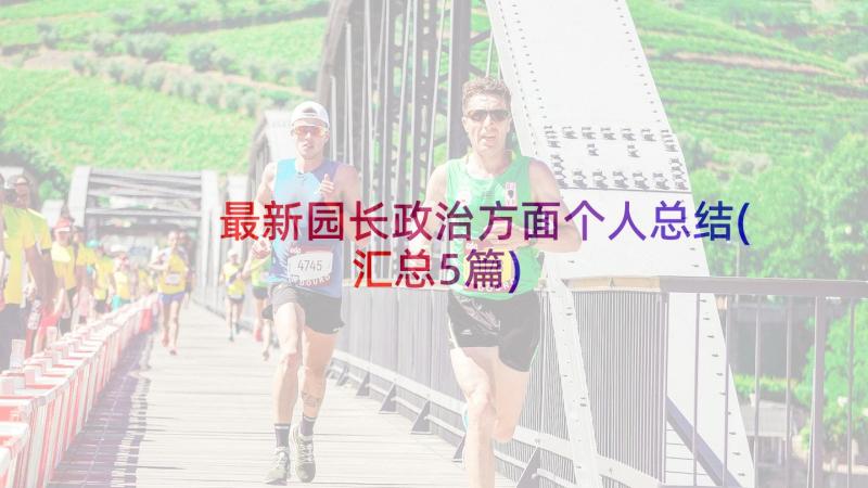 最新园长政治方面个人总结(汇总5篇)