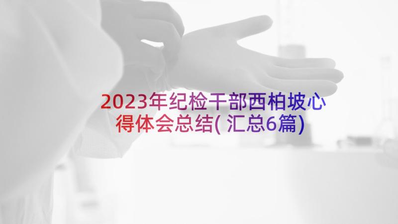 2023年纪检干部西柏坡心得体会总结(汇总6篇)