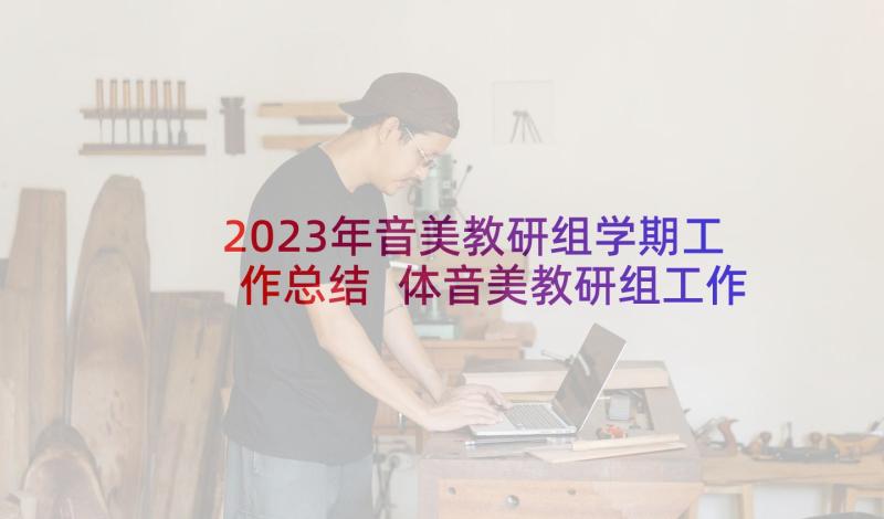 2023年音美教研组学期工作总结 体音美教研组工作计划(汇总9篇)