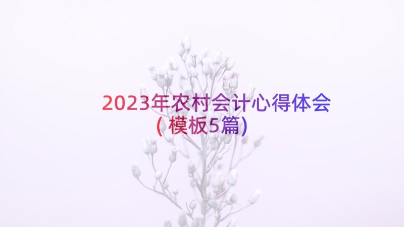 2023年农村会计心得体会(模板5篇)