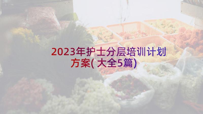 2023年护士分层培训计划方案(大全5篇)