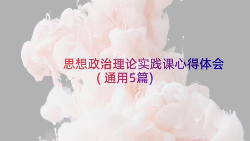 思想政治理论实践课心得体会(通用5篇)