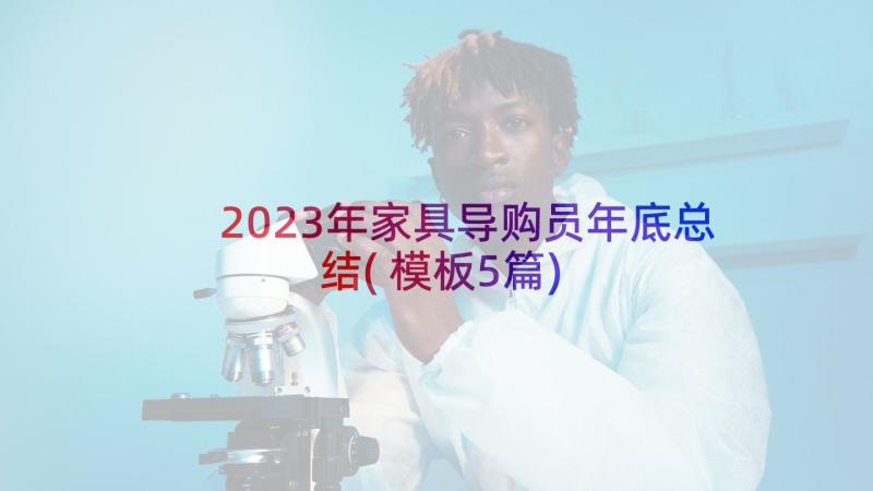 2023年家具导购员年底总结(模板5篇)